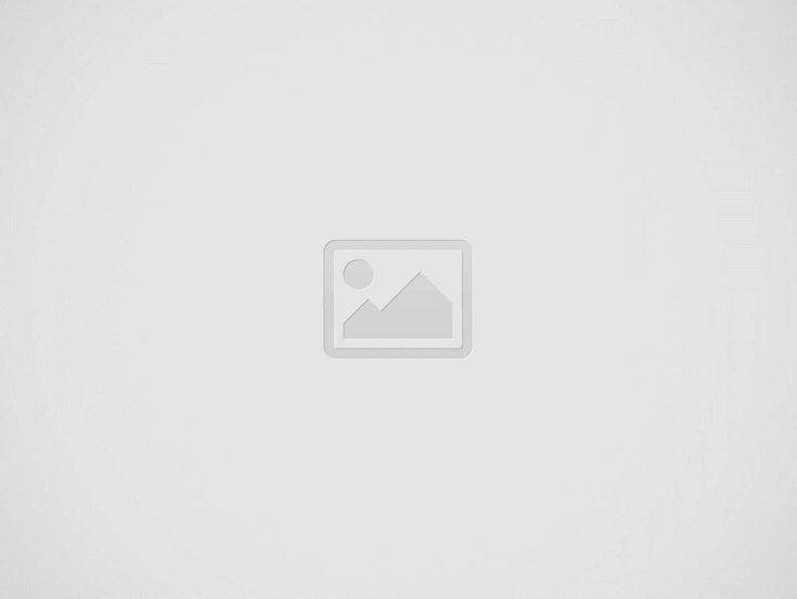 표지싸바리박스 | 수제차를 종류별로 구분해서 고급스럽게 포장할 수 있는 방법이 있을까요?